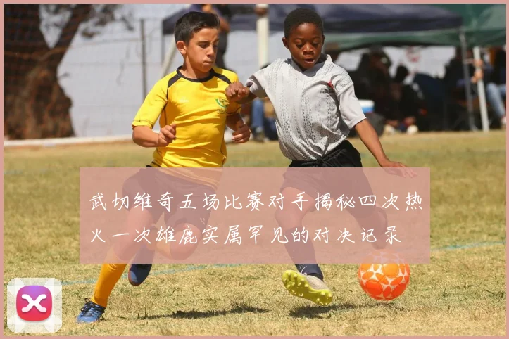 武切维奇五场比赛对手揭秘四次热火一次雄鹿实属罕见的对决记录
