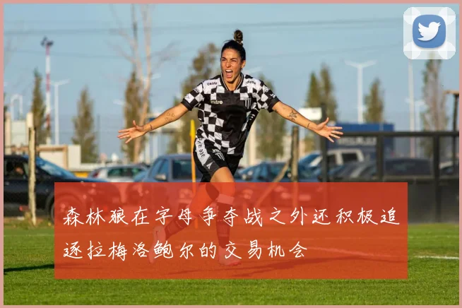 森林狼在字母争夺战之外还积极追逐拉梅洛鲍尔的交易机会